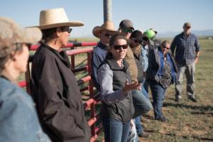WLA’s Working Wild Challenge program coordinator Alex Few talks with ranchers in North Park, Colorado, at a ranch visit following a wolf information event in Walden. June 20, 2022. Photo credit: Matthew Collins/Western Landowners Alliance.